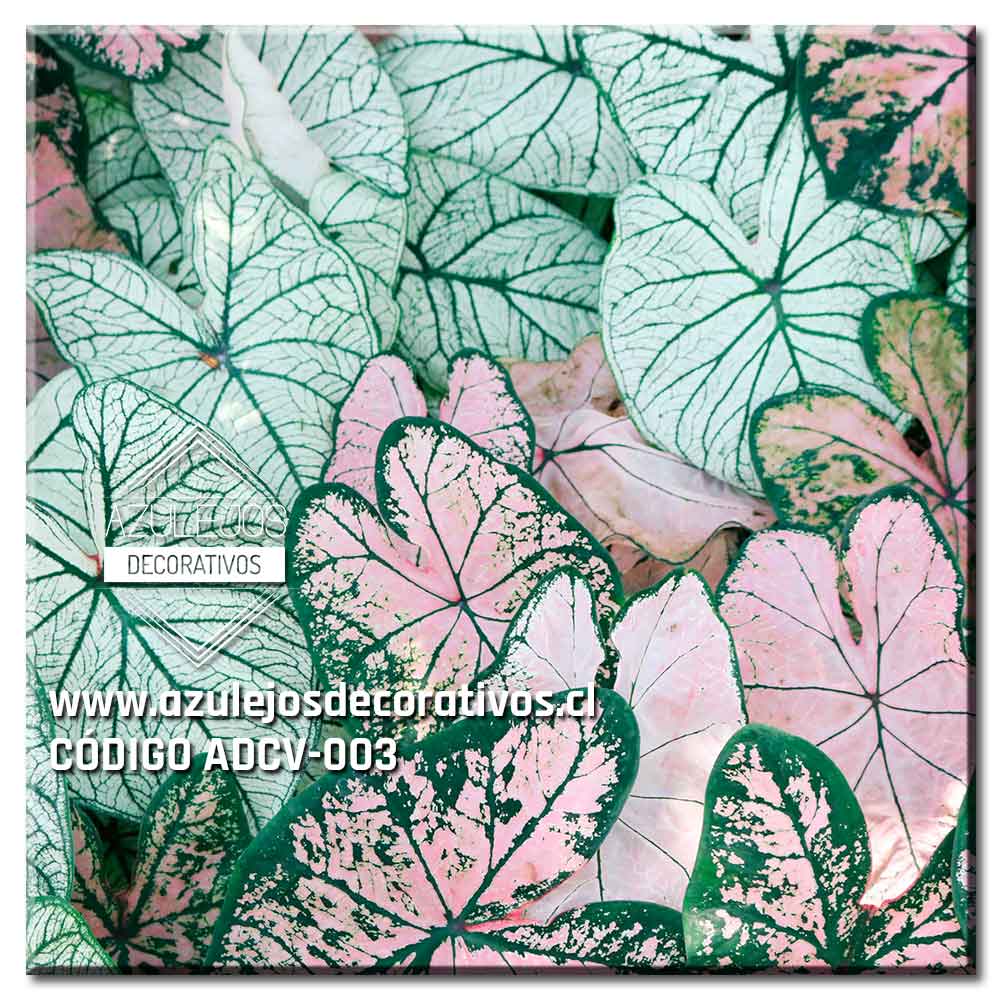 Colores Vintage 3