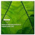 Naturaleza 2